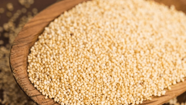 Poppy Seeds Benefits : आंखों के साथ हड्डियों के लिए भी फायदेमंद है ये चमत्कारी सफेद दाना, जानें इस्तेमाल करने का सही तरीका