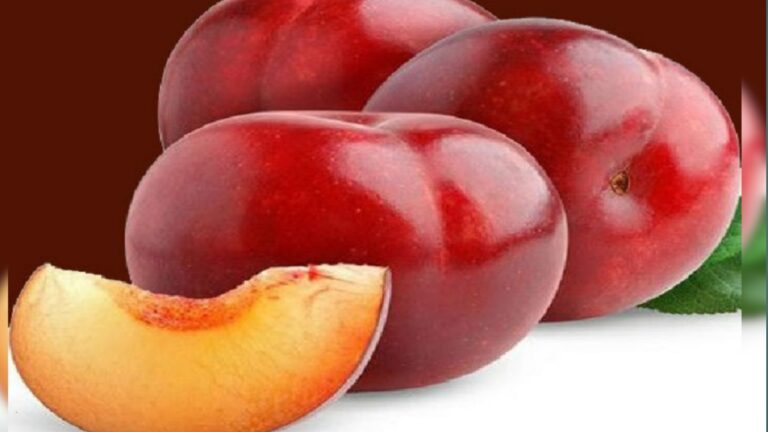 Plum benefits: गर्मियों के दिनों में जरूर सेवन करें आलूबुखारा का,सेहत को मिलेंगे ये अद्भुत फायदे