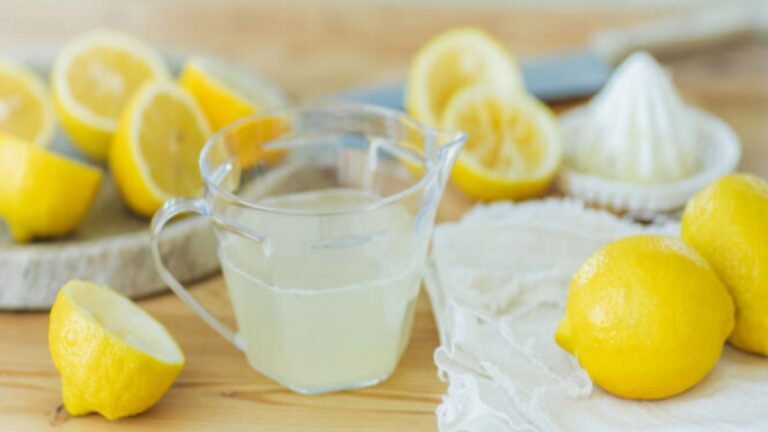 Summer Drink: गर्मियों का मजा दोगुना करेगी स्वाद से भरपूर नींबू का शरबत, झटपट पढ़ें रेसिपी