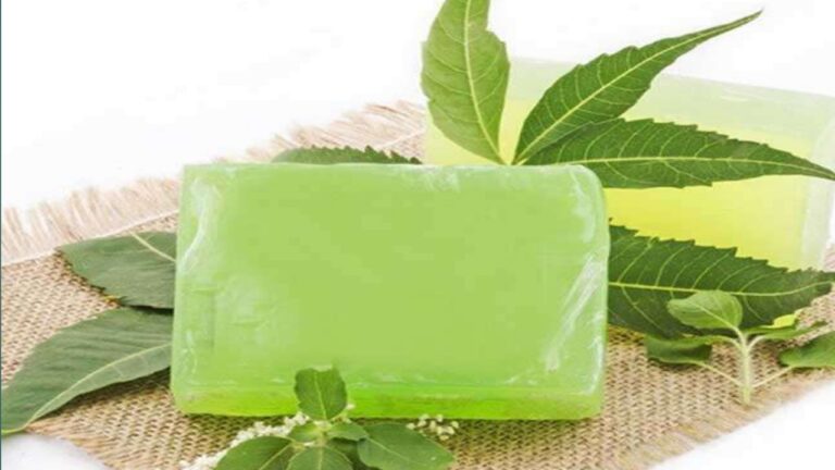 Neem Soap at home: घर पर बेहद आसान तरीके से ऐसे बनाएं औषधीय गुणों से भरपूर नीम का साबुन, पढ़ें