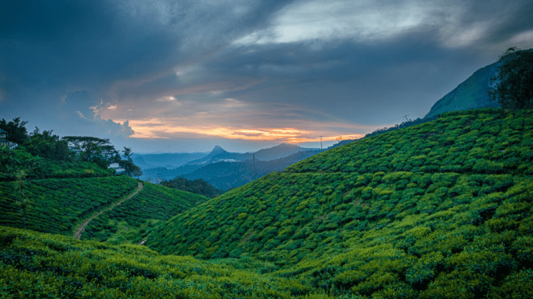 Tourist Places In India: इस गर्मी बच्चों के साथ छुट्टियां मनाने जाए इन ख़ूबसूरत जगहों पर, खुशी से झूम उठेंगे, जानें