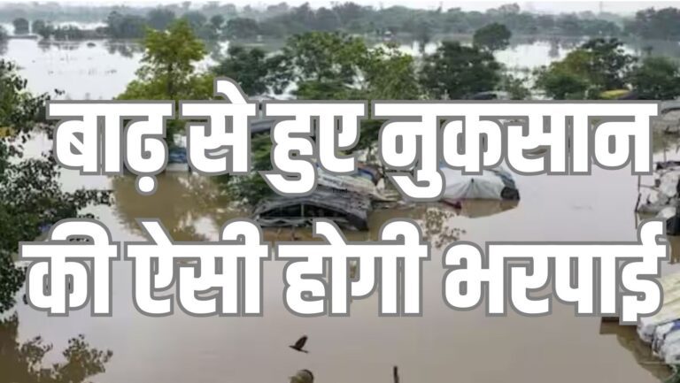 Insurance Claim: बाढ़ से हो गया है नुकसान तो ऐसे होगी भरपाई, जल्दी जान लें इंश्योरेंस क्लेम करने का तरीका