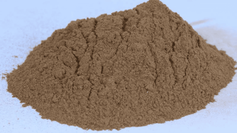 Jamun Seed Powder : जामुन खाने के बाद गुठली फेंकने की करते हैं भूल तो जान लें फायदे की बात, वरना पड़ सकता है पछताना