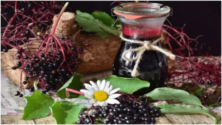 Jamun Vinegar Benefits : आंखों की रौशनी बढ़ाने सहित इन बीमारियों में फायदेमंद है ये जामुन का सिरका, जानें