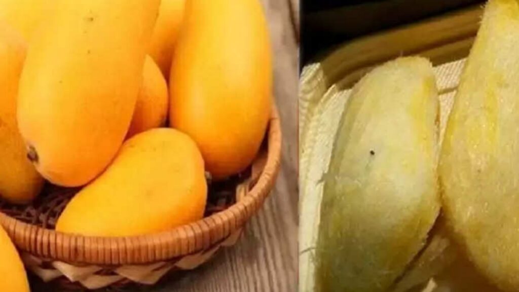 Mango Kernels Health Benefits