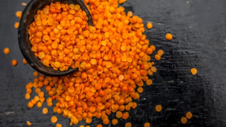 Masoor Dal Health Benefits:सेहत के लिए बेहद फायदेमंद है मसूर की दाल, पढ़ें इसके गज़ब के फायदे