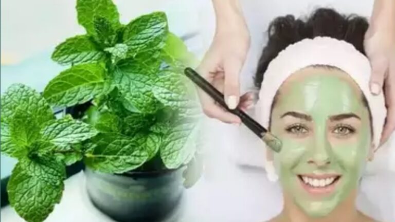 Pudina For Face: चेहरे के दाग-धब्बे और पिंपल को‌ जादुई तरीके से गायब करता है पुदीना का पत्ता, पढ़ें इसके बेमिसाल फायदे