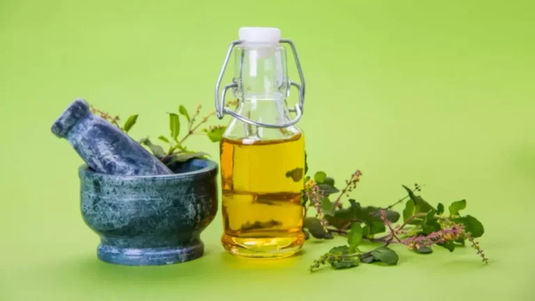 Tulsi Water Benefits: क्या है तुलसी के पानी के बेमिसाल फायदे, रोजाना करें सेवन