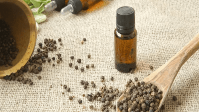 Black Pepper Oil