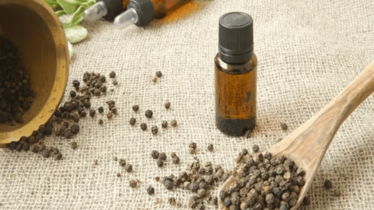 Black Pepper Oil : सेहत के लिए काफी फायदेमंद है ये चमत्कारी तेल, मिलते हैं ढेरों लाभ, जानें