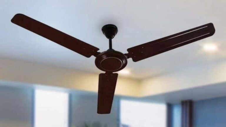 Ceiling fan बनाने वाली कंपनियों पर सख्त हुई सरकार,अब इन नियमों का करना होगा पालन,नहीं तो..