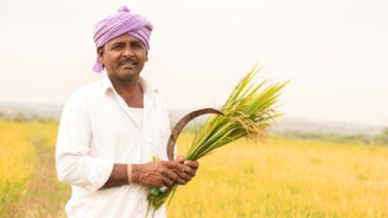 Farmer Scheme: कृषि यंत्रों की खरीद पर 80% सब्सिडी दे रही सरकार,ऐसे करें तुरंत अप्लाई