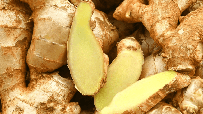 Ginger Storage Tips : लंबे समय तक अदरक को करना चाहते हैं स्टोर तो इन टिप्स को करें फॉलो