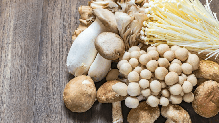 Mushroom Benefits : सेहत के लिए चमत्कारी है ये मशरूम, आज ही करें डाइट में शामिल, मिलेंगे गजब के फायदे