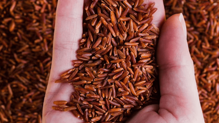 Red rice benefits : आज ही अपने डाइट में शामिल करें ये लाल चावल, मिलेगा जबरदस्त फायदा, जानें डिटेल