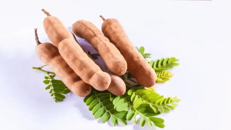 Tamarind side effects : ये लोग भूलकर भी न करें इमली का सेवन, वर्ना हो सकता है बड़ा नुकसान, जानें