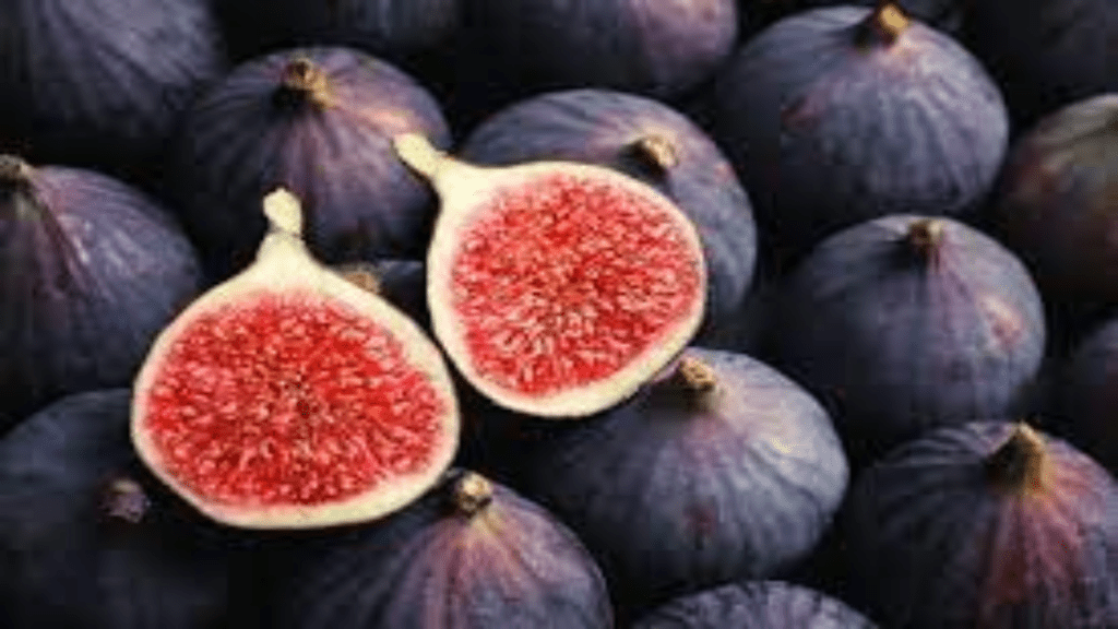 Figs