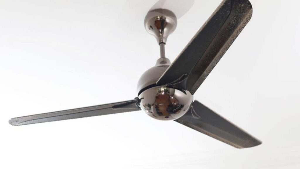 Ceiling fan 