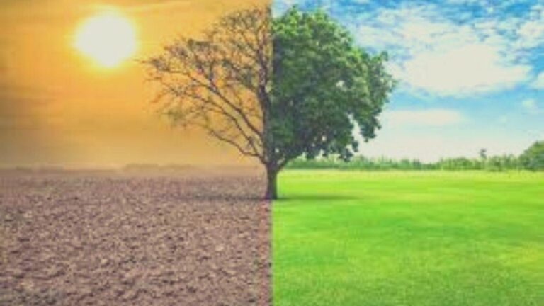 बदलते मौसम में छोटी लापरवाही बढ़ा सकती है कई बीमारियों का खतरा, जानें बचाव के उपाय