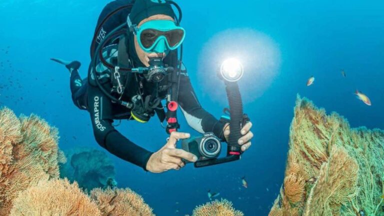 क्रिएटर न गवाएं ये शानदार मौका, 50% छूट पर मिल रहें GoPro Camera, यहां से करें बुक