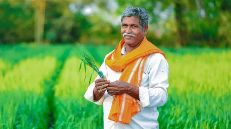 अगर 15 अक्टूबर तक नहीं निबटाया ये जरूरी काम तो खाते में नहीं आएगी PM Kisan की अगली किस्त&nbsp;