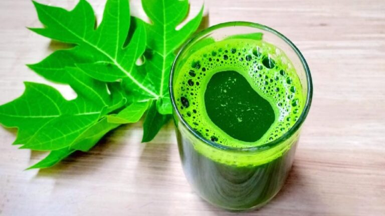 डेंगू से निजात दिलाएगा इस पौधे का पत्ता और भी कई बीमारियों को जड़ से करेगा छू-मंतर, जानें