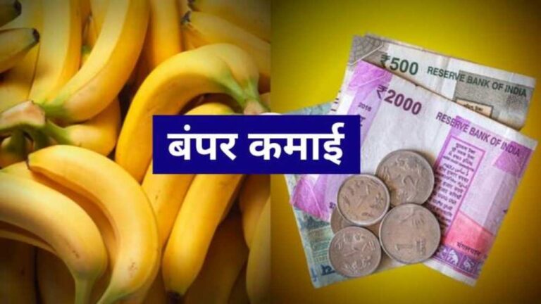 Business Idea: ₹1000 की लागत में होगा 400 रुपए का मुनाफा, ये रहा बिजनेस प्लान, देखें